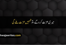 Best 30+ Attitude Quotes For Boys In Urdu Attitude Quotes For Boys