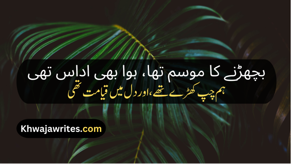 Farewell Poetry In Urdu