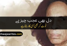 Best 50+John Elia Poetry In Urdu Text John Elia Poetry In Urdu Text