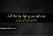 Best 50+Father Death Poetry In Urdu Father Death Poetry In Urdu