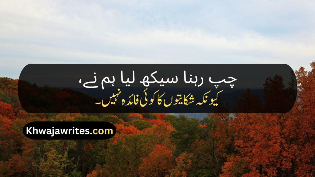 Best Poetry In Urdu Text
