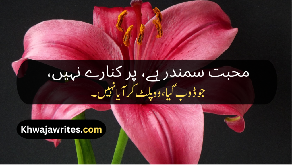 Best Poetry Lines In Urdu