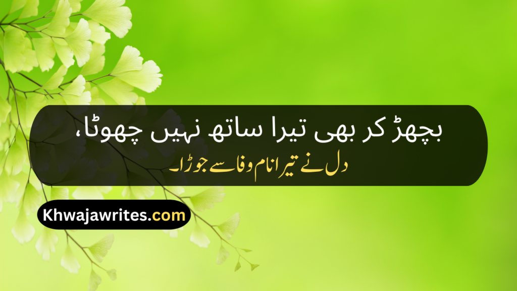 Best Poetry In Urdu Text