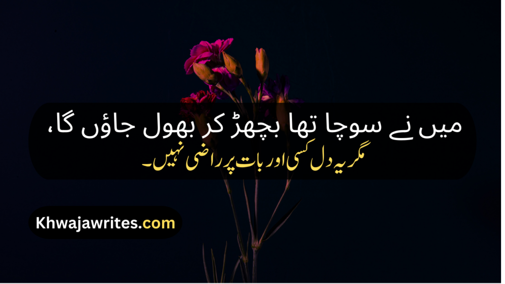 Poetry In Urdu Quotes