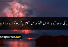 Best 30+ Father Death Quotes In Urdu Father Death Quotes
