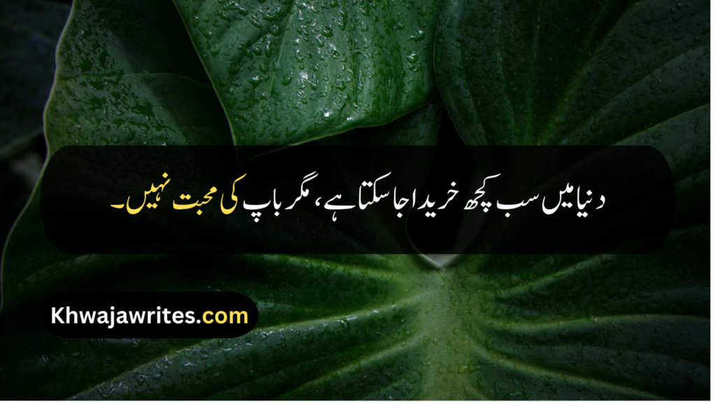 Father Death Quotes In Urdu