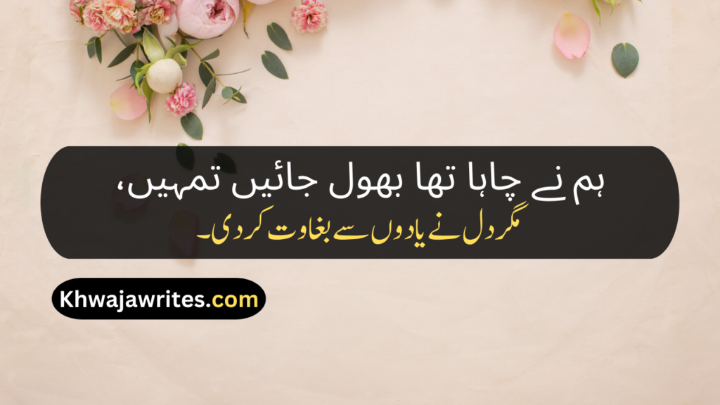 Best Poetry In Urdu Text