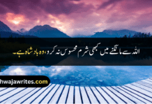 Best 25+ Beautiful Islamic Quotes In Urdu Beautiful Islamic Quotes