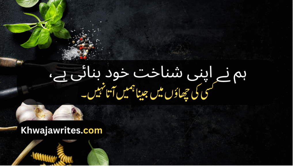 Attitude Shayari In Urdu
