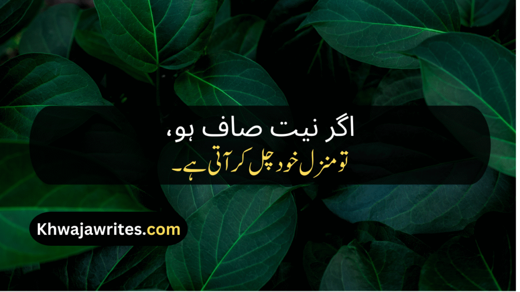 Whatsapp About Lines In Urdu