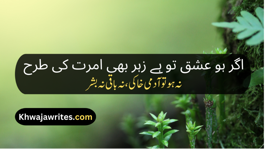 Allama Iqbal Poetry In Urdu 2 Lines For Students