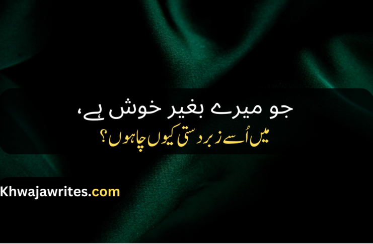Best 50+ Broken Heart Poetry In Urdu 2 Lines Broken Heart Poetry In Urdu