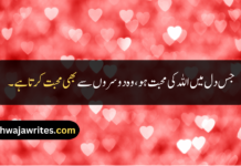 Best 25+ Hazrat Ali Quotes About Love In Urdu Hazrat Ali Quotes About Love