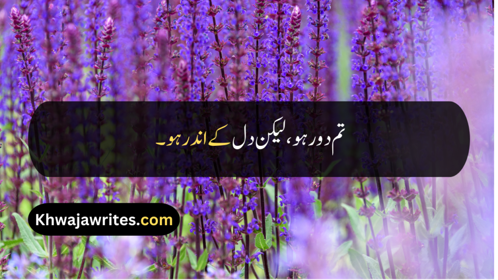 Long Distance Friendship Quotes