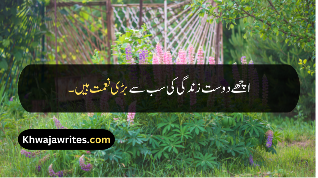 Hazrat Ali Quotes About Friendship