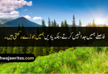 Best 30+ Long Distance Friendship Quotes In Urdu Long Distance Friendship Quotes