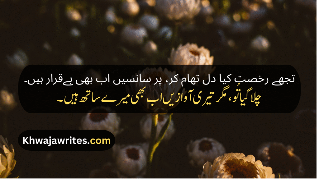 Alwidai Poetry In Urdu