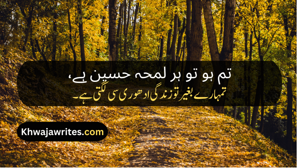 Bestie Poetry In Urdu