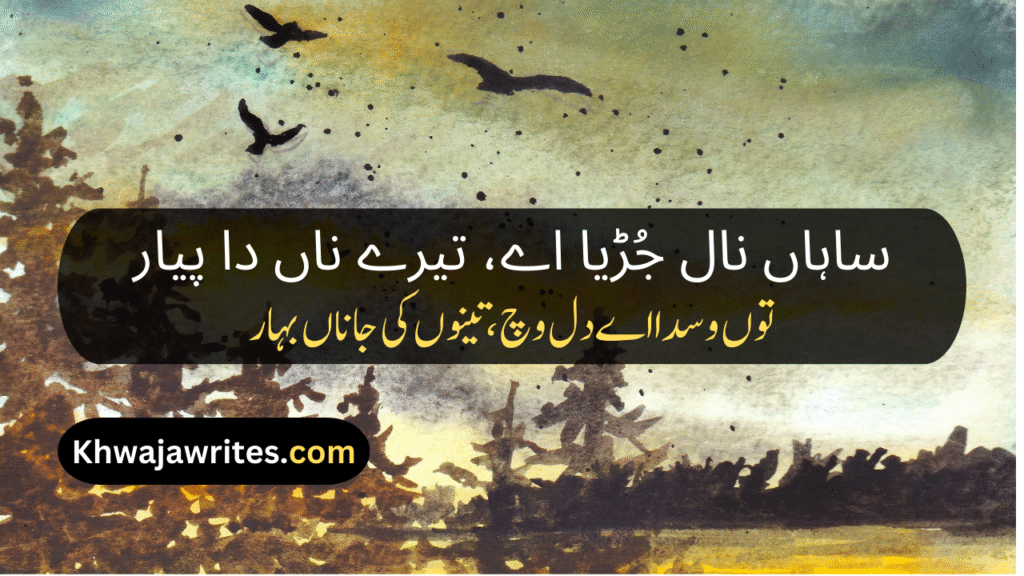Saraiki Poetry In Urdu