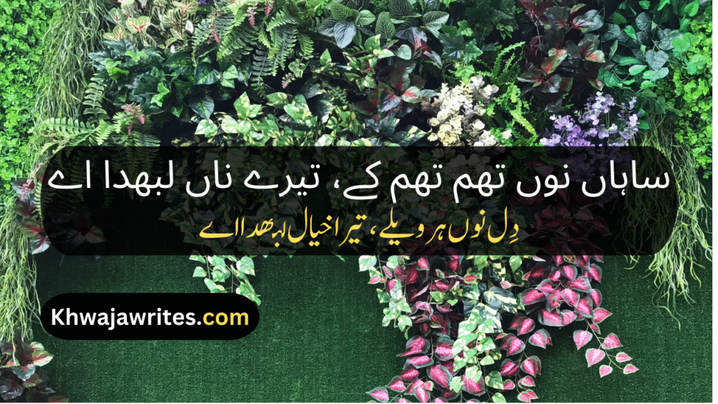 Saraiki Poetry In Urdu
