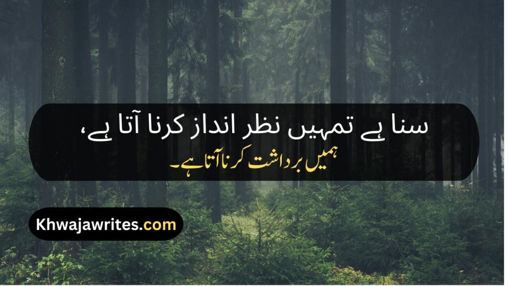 Ignore Poetry In Urdu
