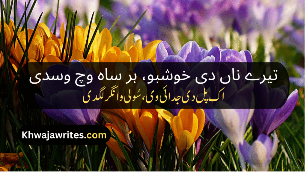 Saraiki Poetry In Urdu