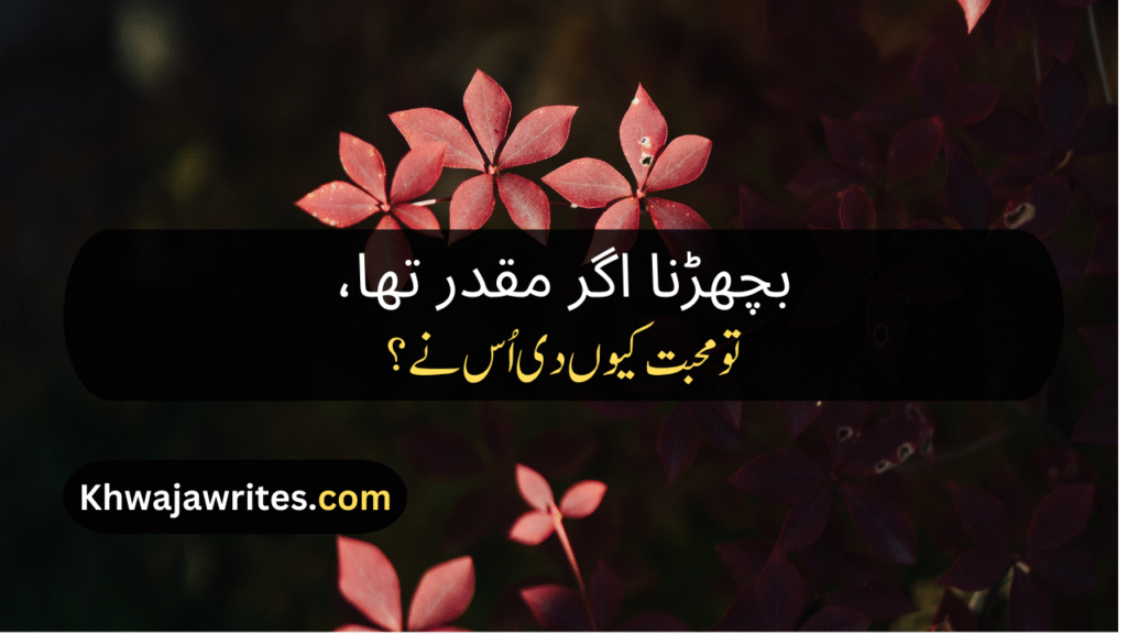 Alwidai Poetry In Urdu
