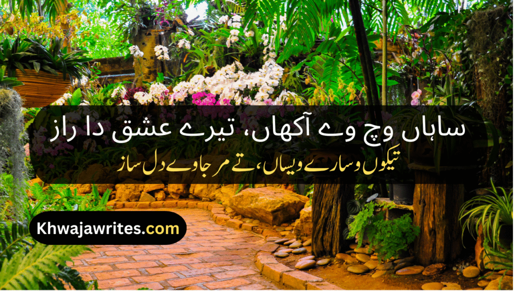 Saraiki Poetry In Urdu