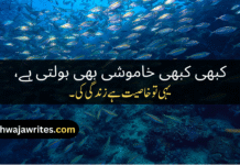 Best 30+ Zindagi Poetry In Urdu Copy Paste Zindagi Poetry In Urdu