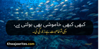 Best 30+ Zindagi Poetry In Urdu Copy Paste Zindagi Poetry In Urdu