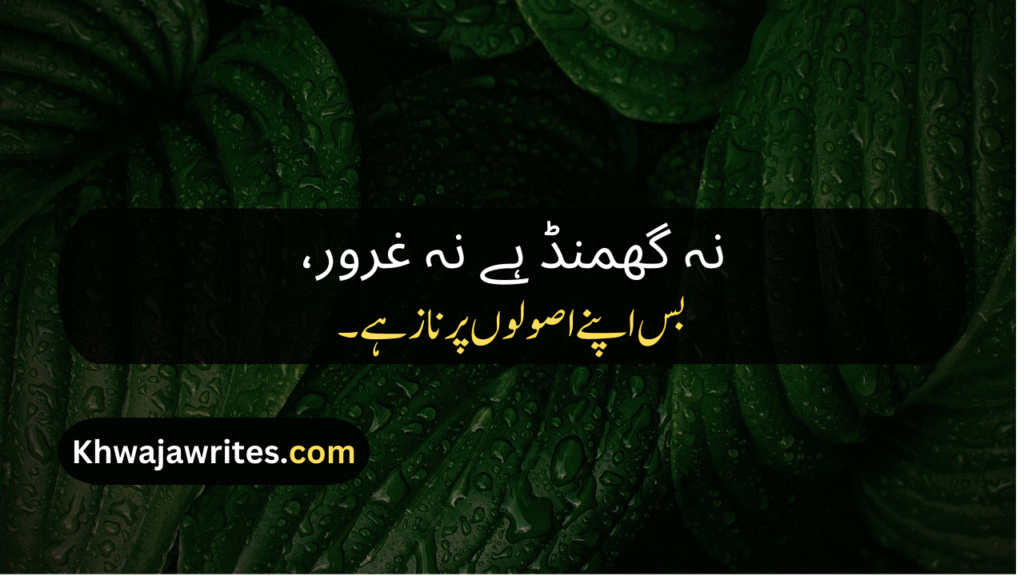 Badmashi Poetry In Urdu