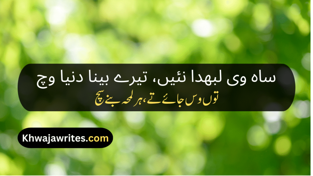 Saraiki Poetry In Urdu