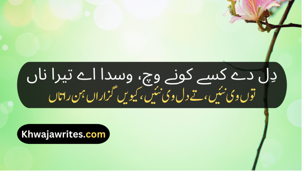 Saraiki Poetry In Urdu