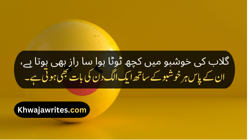 Funny Poetry On girl In Urdu