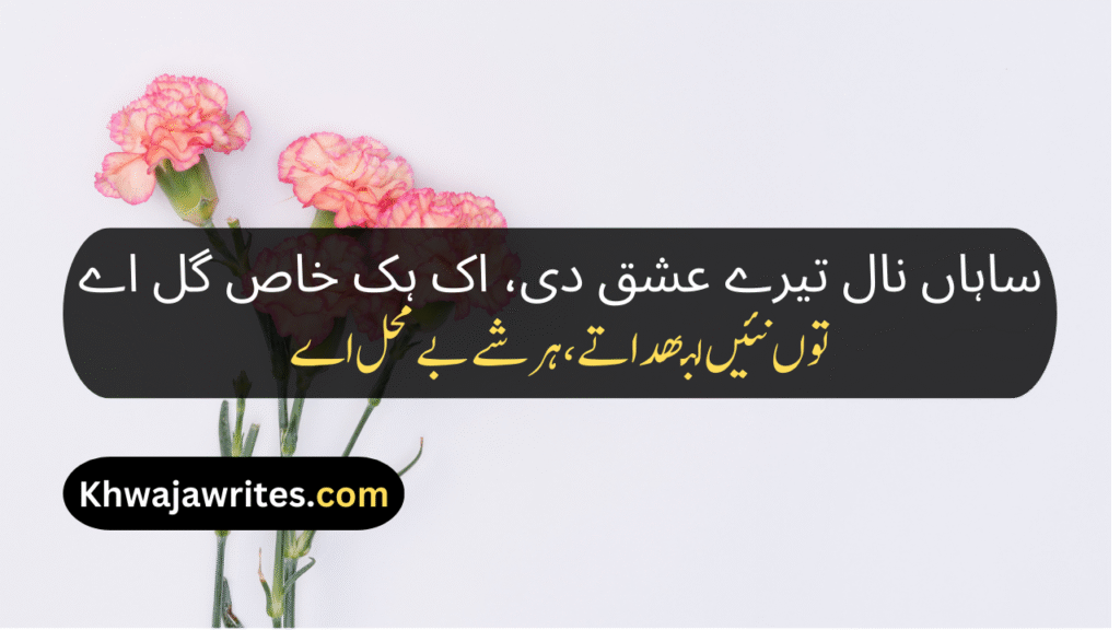 Saraiki Poetry In Urdu