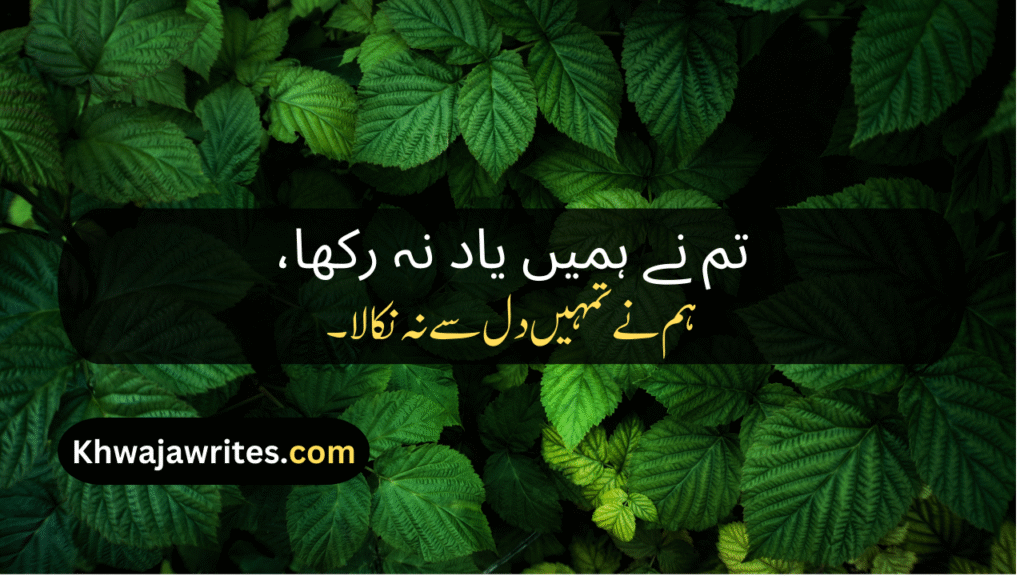 Ignore Poetry In Urdu