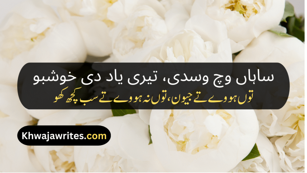 Saraiki Poetry In Urdu