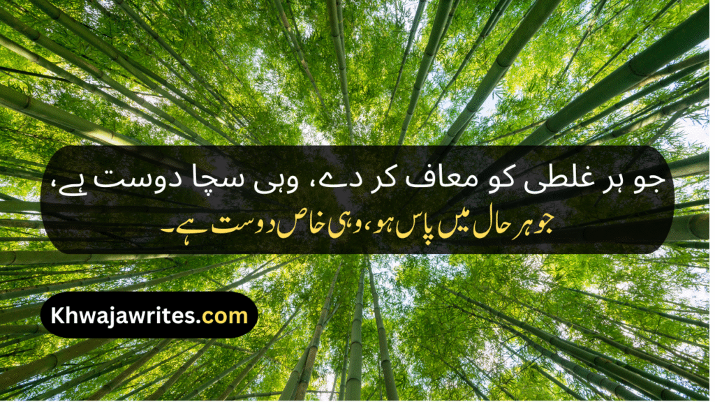 Bestie Poetry In Urdu