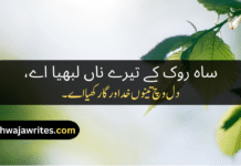 Best Soulful Punjabi Poetry – Heart-Touching 2-Line Verses Punjabi Poetry