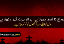 Best 50+ Alwidai Poetry in Urdu – Touching Words of Farewell Alwidai Poetry In Urdu