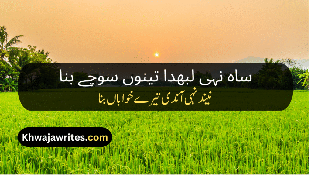 Saraiki Poetry In Urdu