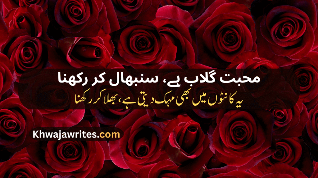 Rose Poetry In Urdu