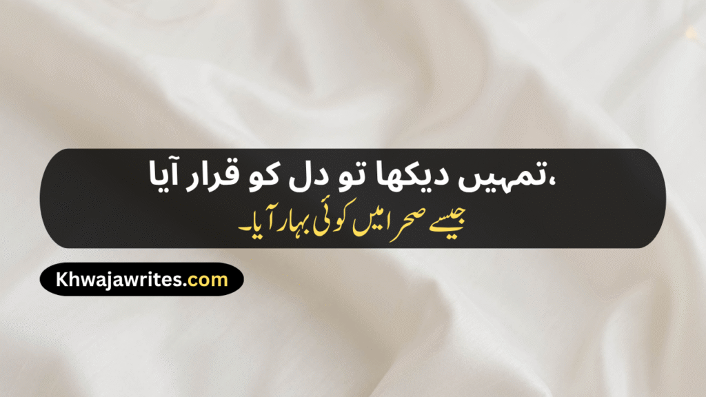 Aesthetic Urdu Poetry