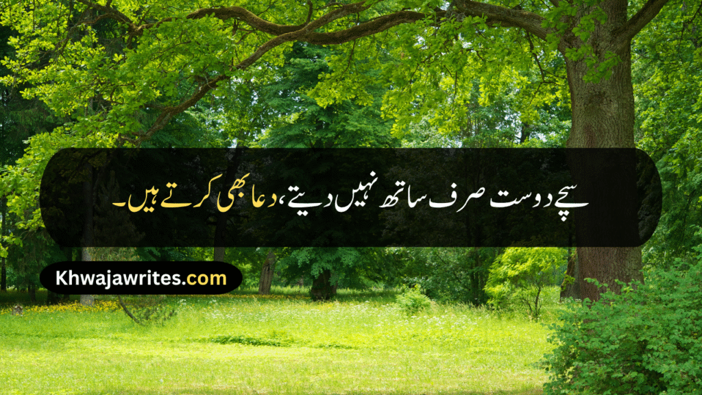 Friendship Day Quotes