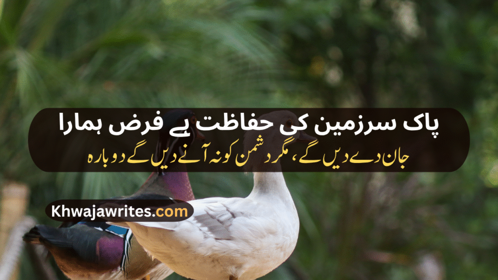 Pak Army Poetry In Urdu