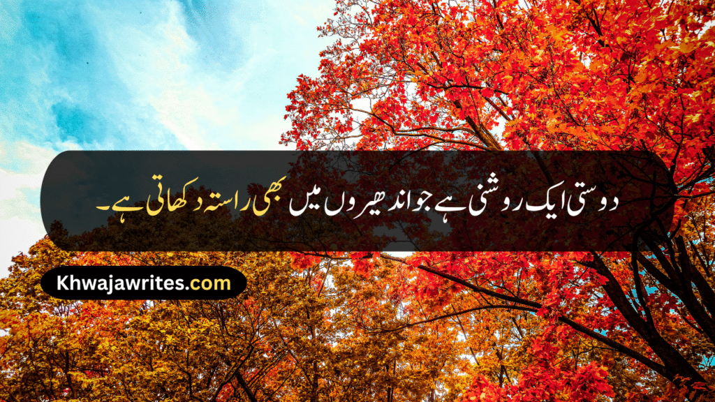 Friendship Day Quotes