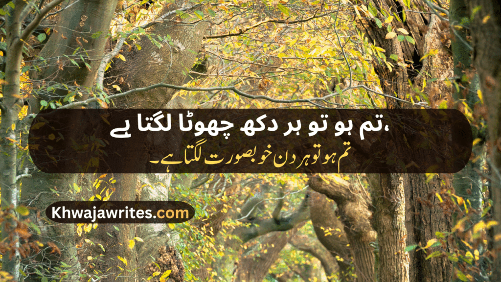 Love Poetry For Wife In Urdu