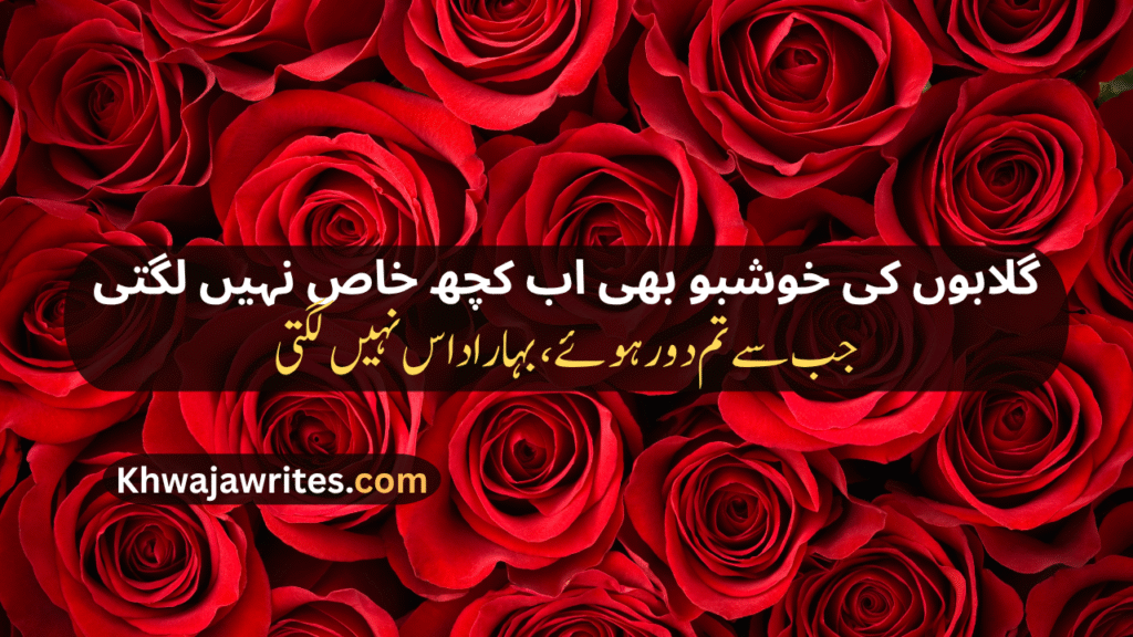 Rose Poetry In Urdu