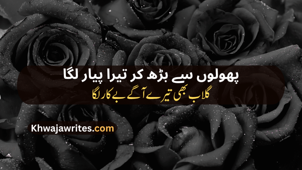 Rose Poetry In Urdu