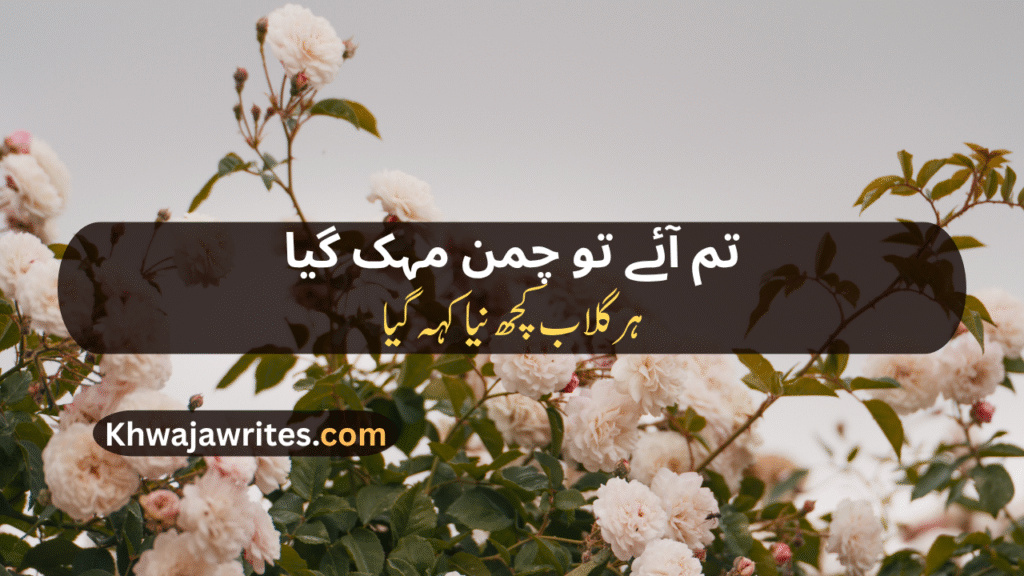 Rose Poetry In Urdu